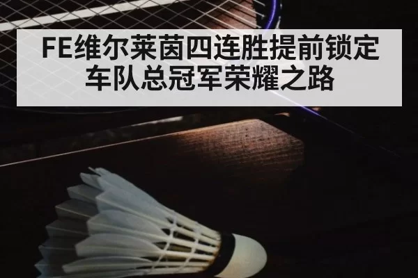FE维尔莱茵四连胜提前锁定车队总冠军荣耀之路